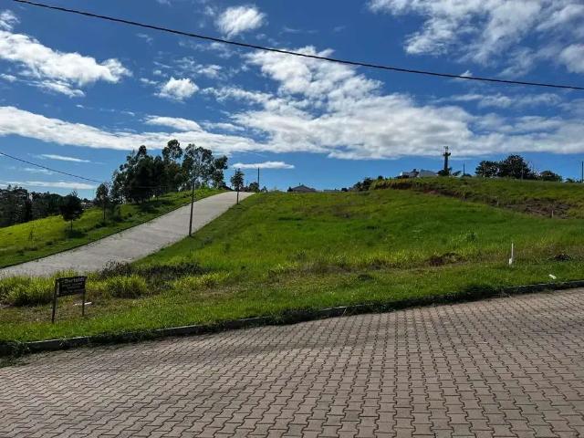 Terreno / Lote para Venda em Campo Bom/RS Paulista