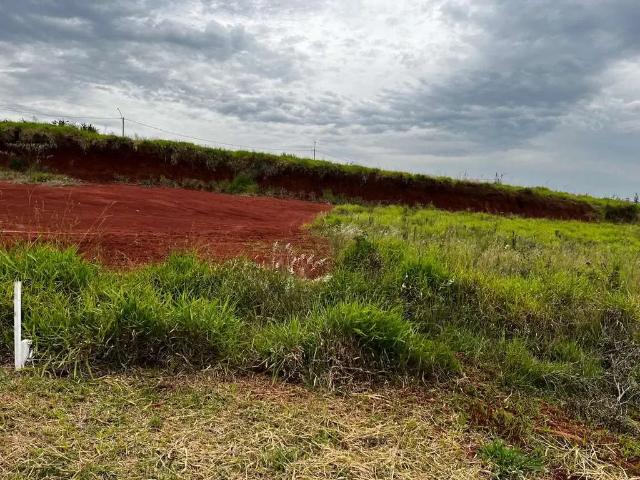 Terreno / Lote para Venda em Campo Bom/RS Paulista
