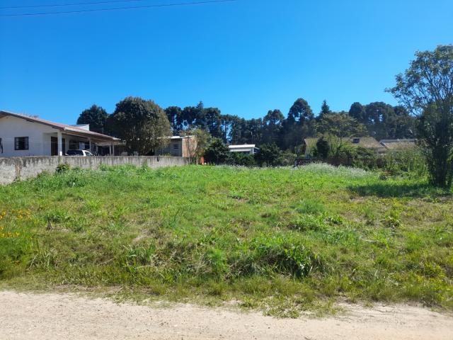 Terreno / Lote para Venda em Campo do Tenente/PR Centro