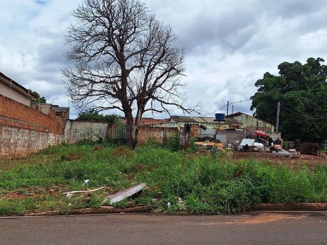 Terreno / Lote para Venda em Campo Grande/MS Vila Marcos Roberto