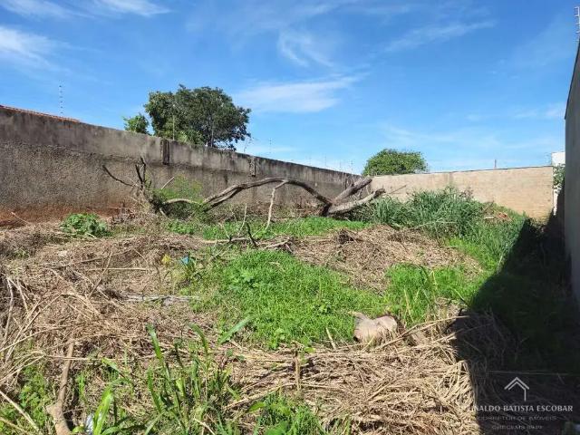 Terreno / Lote para Venda em Campo Grande/MS Vila Morumbi