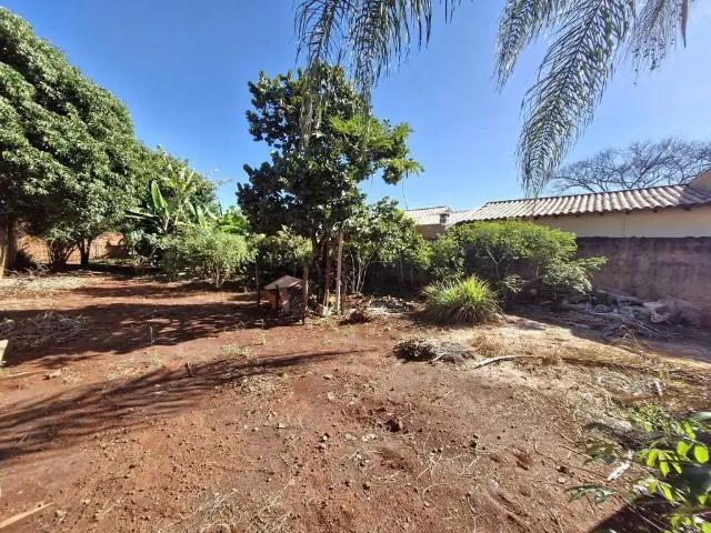 Terreno / Lote para Venda em Campo Grande/MS Vila Nasser