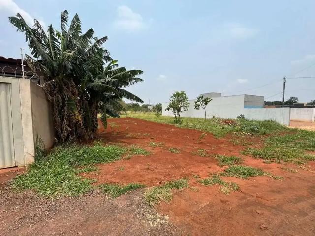 Terreno / Lote para Venda em Campo Grande/MS Vila Nasser