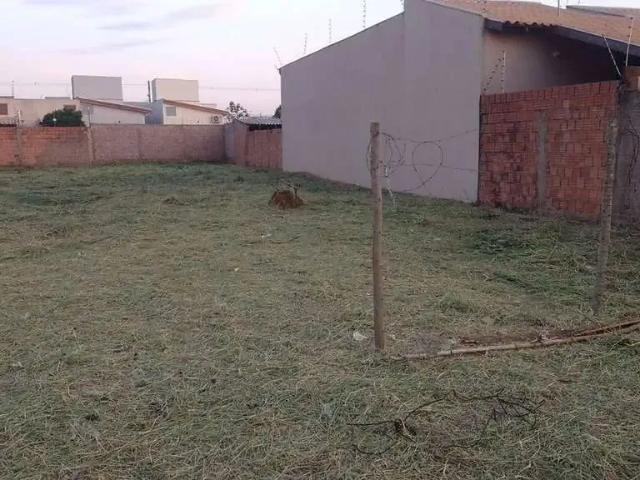 Terreno / Lote para Venda em Campo Grande/MS Vila Nova Campo Grande