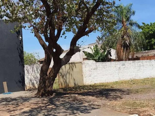 Terreno / Lote para Venda em Campo Grande/MS Vila Nova Campo Grande