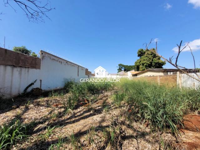 Terreno / Lote para Venda em Campo Grande/MS Vila Nova Campo Grande