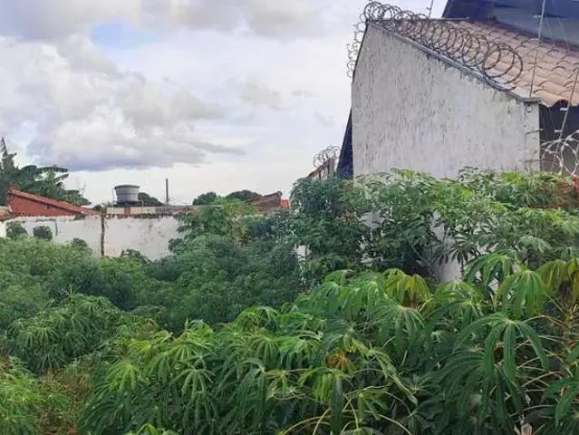 Terreno / Lote para Venda em Campo Grande/MS Vila Almeida