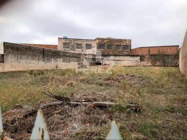 Terreno / Lote para Venda em Campo Grande/MS Vila Carvalho