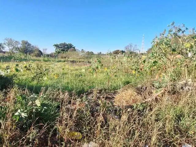Terreno / Lote para Venda em Campo Grande/MS Vila Giocondo Orsi