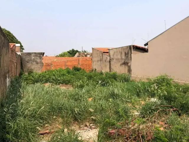 Terreno / Lote para Venda em Campo Grande/MS Vila Taquarussu