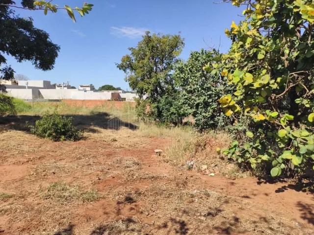 Terreno / Lote para Venda em Campo Grande/MS Vila Vilas Boas