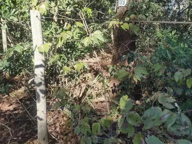Terreno / Lote para Venda em Campo Grande/MS Zona Rural