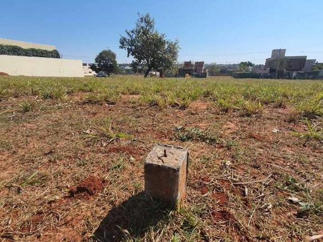 Terreno / Lote para Venda em Campo Grande/MS Alphaville Campo Grande