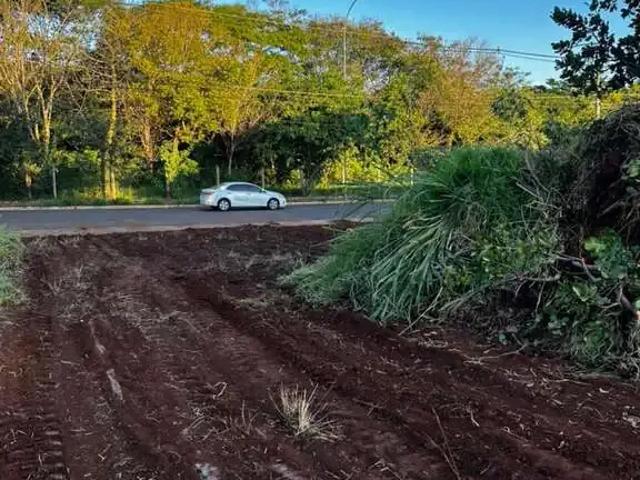 Terreno / Lote para Venda em Campo Grande/MS Bairro Seminário