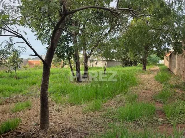 Terreno / Lote para Venda em Campo Grande/MS Bairro Seminário