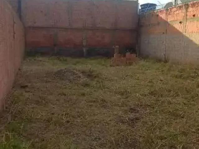 Terreno / Lote para Venda em Campo Grande/MS Bosque das Araras