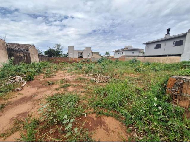 Terreno / Lote para Venda em Campo Grande/MS Carandá Bosque