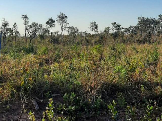 Terreno / Lote para Venda em Campo Grande/MS Centro