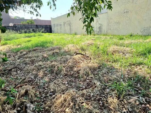 Terreno / Lote para Venda em Campo Grande/MS Chácara Cachoeira