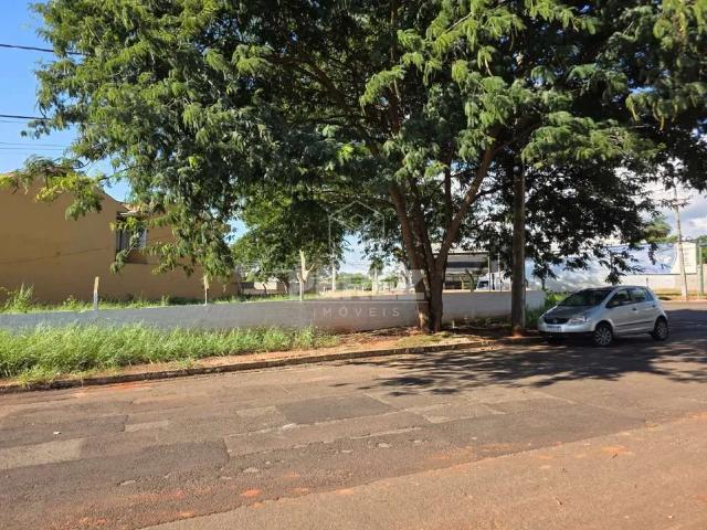 Terreno / Lote para Venda em Campo Grande/MS Chácara Cachoeira