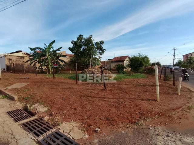 Terreno / Lote para Venda em Campo Grande/MS Coronel Antonino
