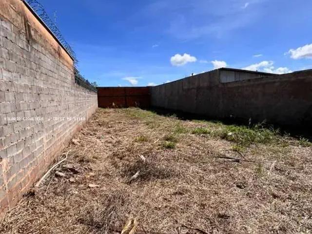 Terreno / Lote para Venda em Campo Grande/MS Coronel Antonino