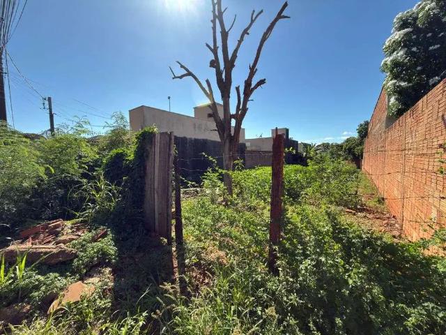Terreno / Lote para Venda em Campo Grande/MS Jardim Centenário
