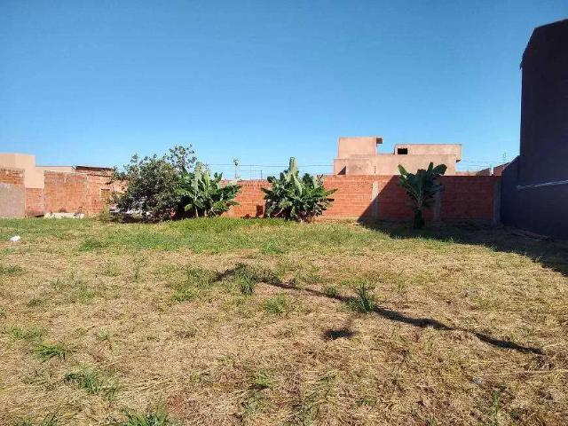 Terreno / Lote para Venda em Campo Grande/MS Jardim da Mooca