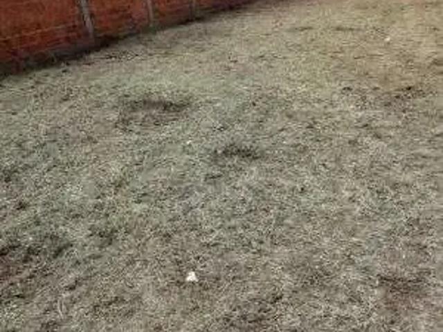 Terreno / Lote para Venda em Campo Grande/MS Jardim Imá
