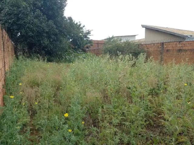 Terreno / Lote para Venda em Campo Grande/MS Jardim Montevidéu