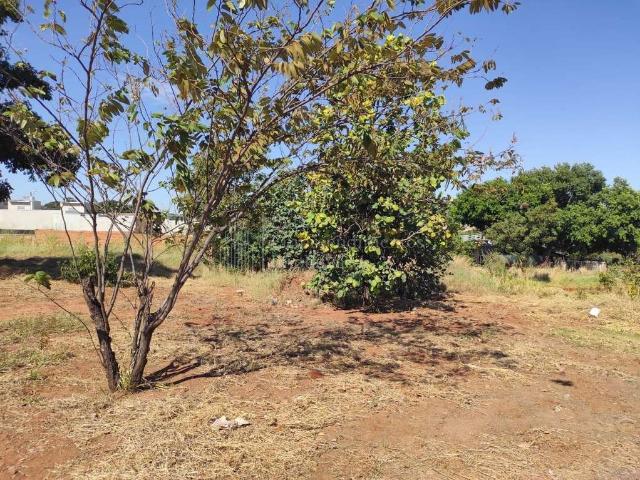 Terreno / Lote para Venda em Campo Grande/MS Jardim Mansur