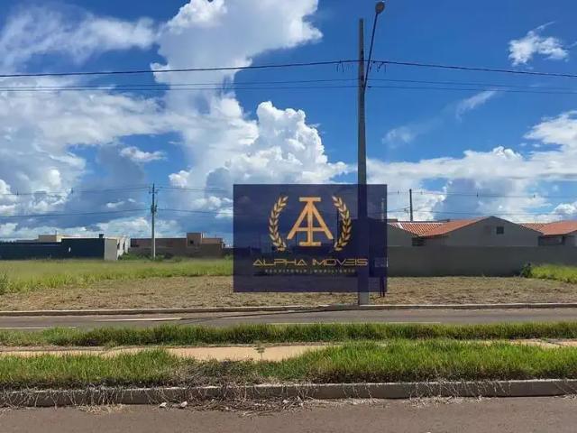 Terreno / Lote para Venda em Campo Grande/MS Jardim São Conrado