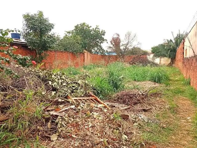 Terreno / Lote para Venda em Campo Grande/MS Jardim Tijuca