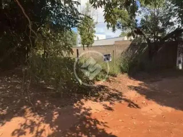 Terreno / Lote para Venda em Campo Grande/MS Jardim Veraneio