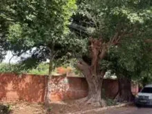 Terreno / Lote para Venda em Campo Grande/MS Monte Carlo