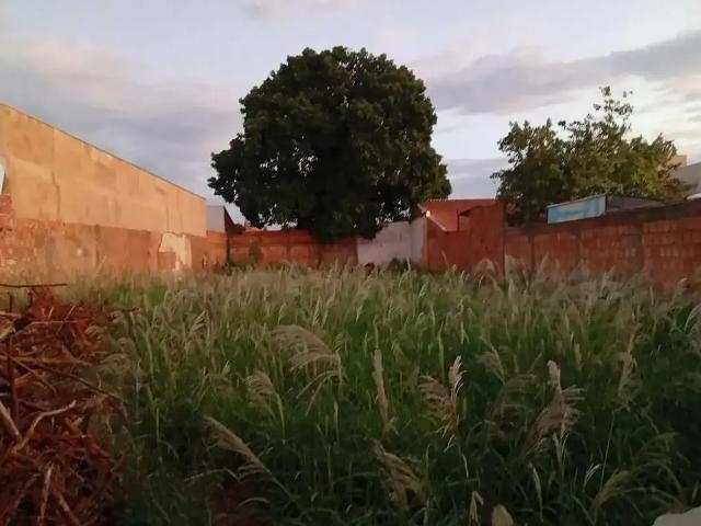 Terreno / Lote para Venda em Campo Grande/MS Monte Castelo