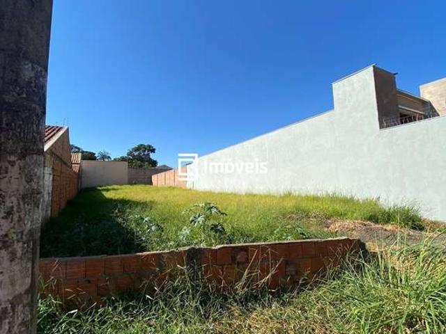 Terreno / Lote para Venda em Campo Grande/MS Monte Castelo
