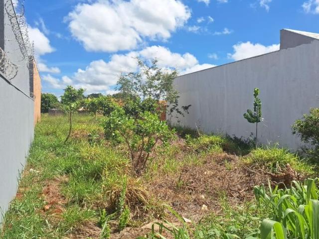 Terreno / Lote para Venda em Campo Grande/MS North Park
