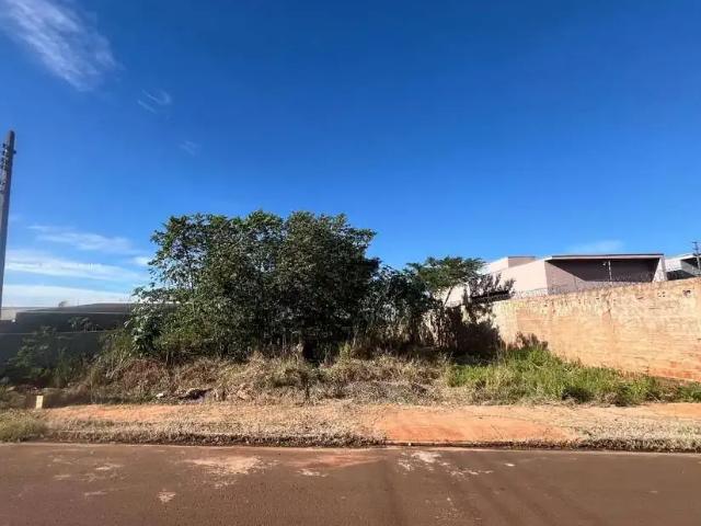 Terreno / Lote para Venda em Campo Grande/MS North Park