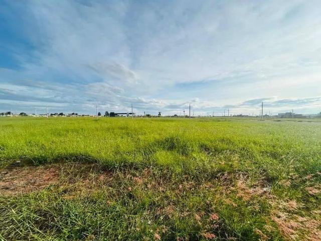 Terreno / Lote para Venda em Campo Grande/MS Nova Lima