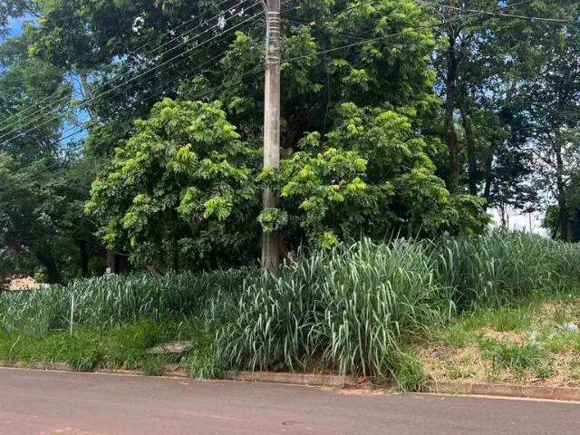 Terreno / Lote para Venda em Campo Grande/MS Parque Residencial Rita Vieira