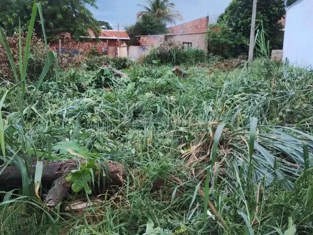 Terreno / Lote para Venda em Campo Grande/MS Portal Caiobá