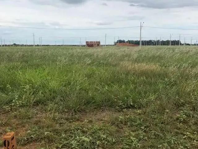 Terreno / Lote para Venda em Campo Grande/MS Residencial Figueiras do Parque
