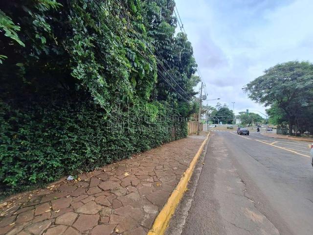 Terreno / Lote para Venda em Campo Grande/MS São Francisco