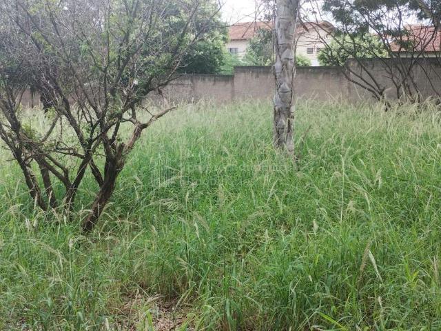 Terreno / Lote para Venda em Campo Grande/MS São Francisco