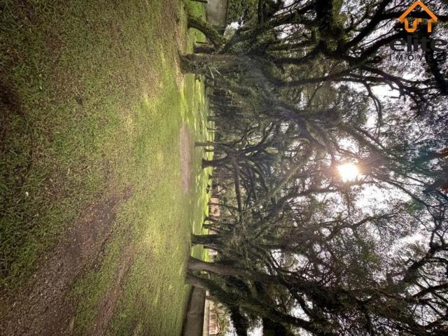 Terreno / Lote para Venda em Campo Largo/PR Ouro Verde