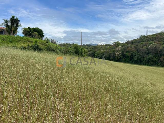 Terreno / Lote para Venda em Campo Largo/PR Bateias