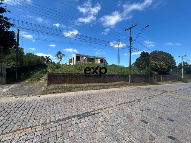 Terreno / Lote para Venda em Campo Largo/PR Botiatuva