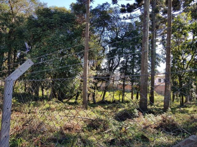 Terreno / Lote para Venda em Campo Largo/PR Centro
