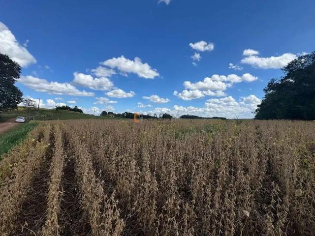 Terreno / Lote para Venda em Campo Largo/PR Colônia Balbino Cunha 1 Quartos